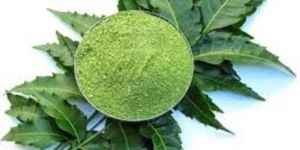 Treezen Organic Neem Leaves Powder