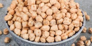 White Chickpeas