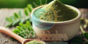 Dehydrated Moringa Powder