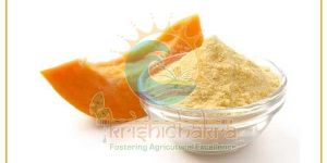 Natural Dehydrated Papaya Powder