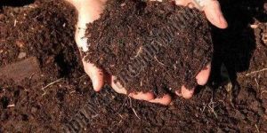Bio Organic Manure