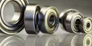 Bridge Bearing
