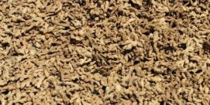 Dried Ginger