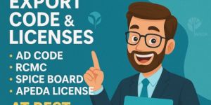 Import Export Code & License Service