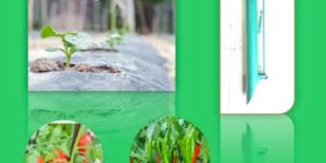 nursery seeds planter