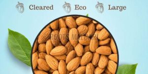 Almond Nuts