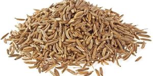 Cumin Seeds