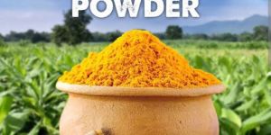 Pure Turmeric Powder