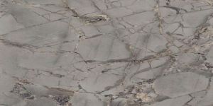 Amazon Silver Glossy Tile