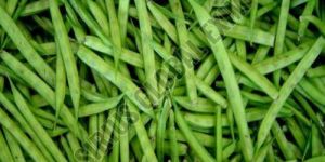 Fresh Guar Beans