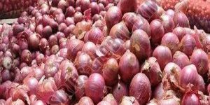 Fresh Red Onion