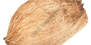 Fully Husked Coconut