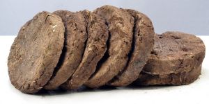 Cow Dung Cake