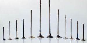 Custom Engine Valves
