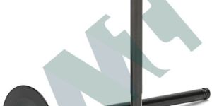 Exhaust Engine Valves