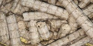 Biomass Pellets