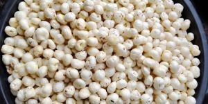 5 Suta Phool Makhana