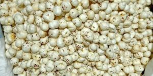 6 Suta Phool Makhana