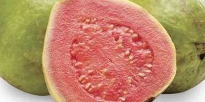 A Grade Fresh Red Guava