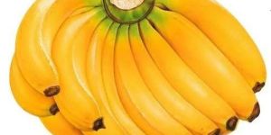 Organic Yellow Banana
