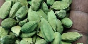 Green Cardamom Pods