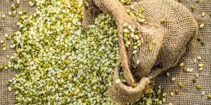 Split Green Moong Dal