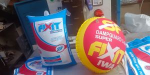 Promotional PVC Balloon