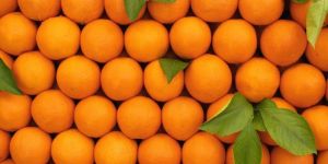 A Grade Fresh Orange