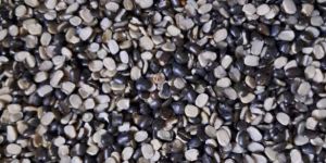Black Polished Urad Dal