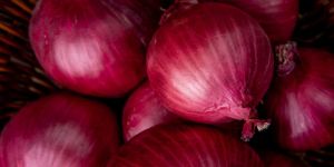 Fresh Red Onion