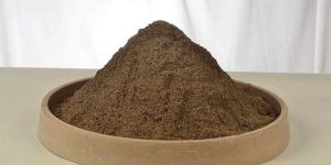 Desi Cow Dung Powder