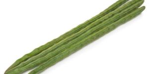 Green Organic Fresh Drumsticks, For Cooking, Style : Natural