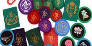 Woven Scout Uniform Logo Labels