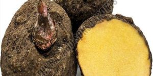 Fresh Elephant Foot Yam