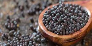Black Mustard Seeds