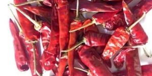 Endo 5 Dried Red Chilli