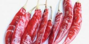 Sannam Dried Red Chilli