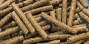 Biomass Pellet