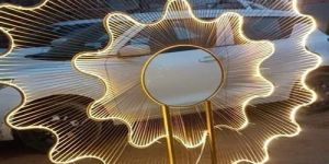 LED Snow Flake Light