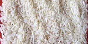 Export Quality Parmal Raw Rice