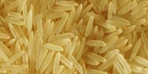 Export Quality Sharbati Golden Sella Rice