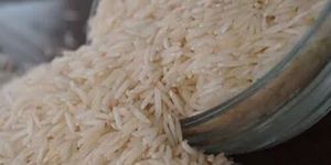 Export Quality Sharbati Steam Rice
