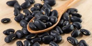Kashmiri Black Beans