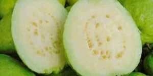 Fresh Guava