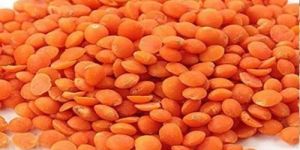 Red Lentil Masoor Dal