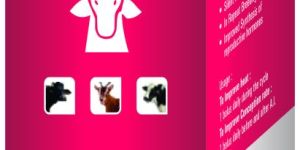 Wellvet Care Fertility Enhancing Veterinary Bolus