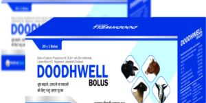 Wellvet Care Milk Booster Calcium Bolus