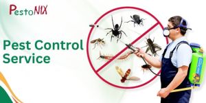 Pest Control Services