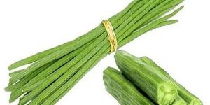 a Grade Fresh Drumstick