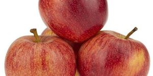 A Grade Natural Fresh Apple